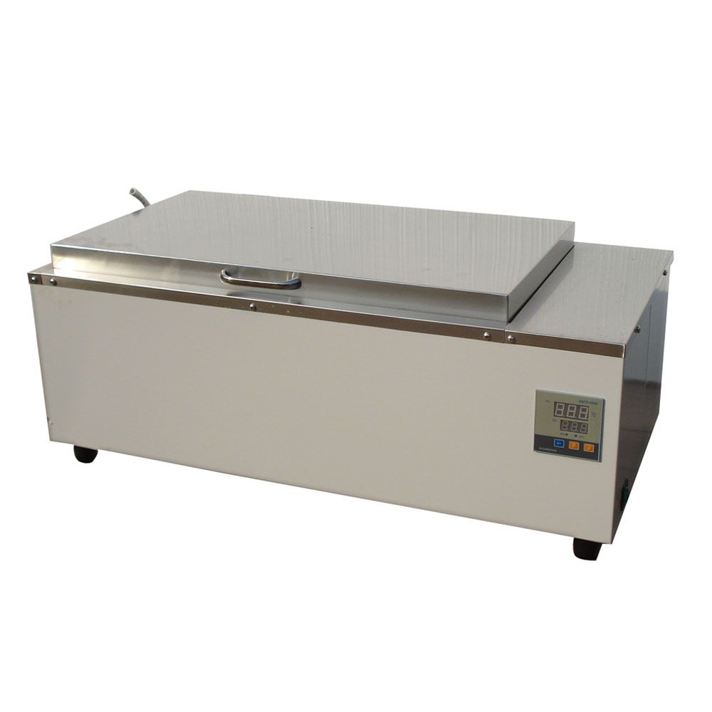 本次活动以文化为纽带