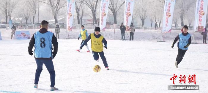 国际雪联赛事首落沈阳，辽宁借力“十五冬”激