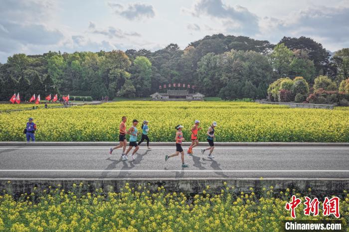 2024上杭红古田半程马拉松圆满落幕 林丹领跑万名